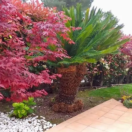 Gaia - Luxury Villa, Pool & Wellness Bed & Breakfast Bordighera