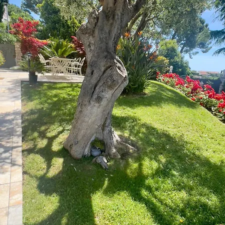 Gaia - Luxury Villa, Pool & Wellness 3* Bordighera