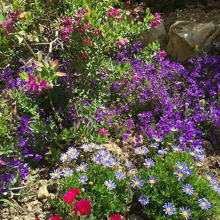 Gaia - Luxury Villa, Pool & Wellness Bordighera