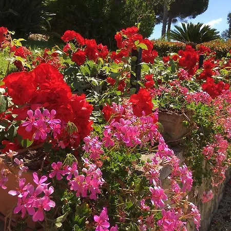 Bed & Breakfast Gaia - Luxury Villa, Pool & Wellness 4*