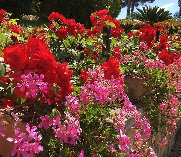 Bed and Breakfast Gaia - Luxury Villa, Pool & Wellness 4*